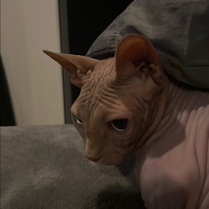 Meet your Posher, Jonathan